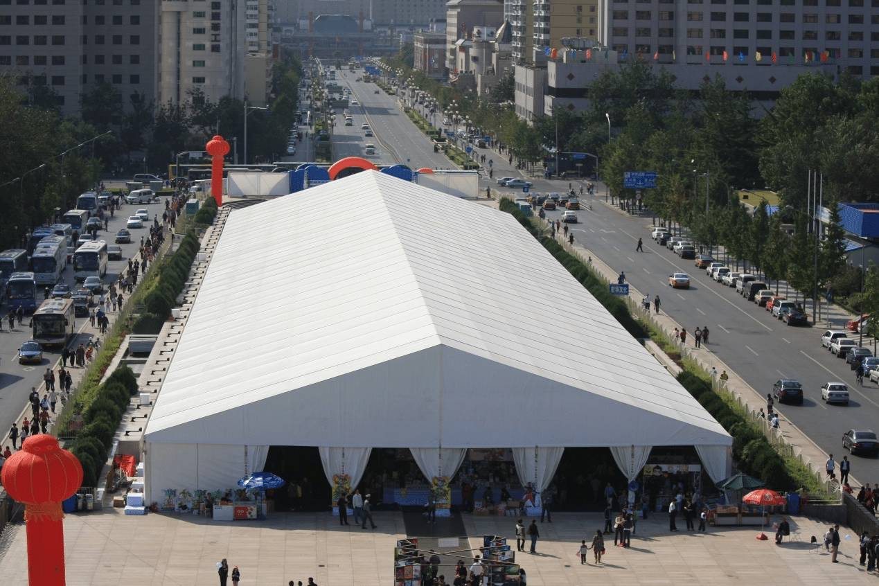 Cartoon Tent Shapes Beijing Anime Expo Experience