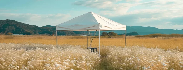 Popup Tent All You Have to Know