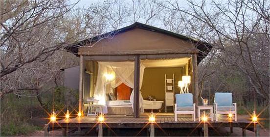 Safari Tent