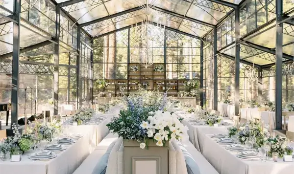 Seated dinner arrangements