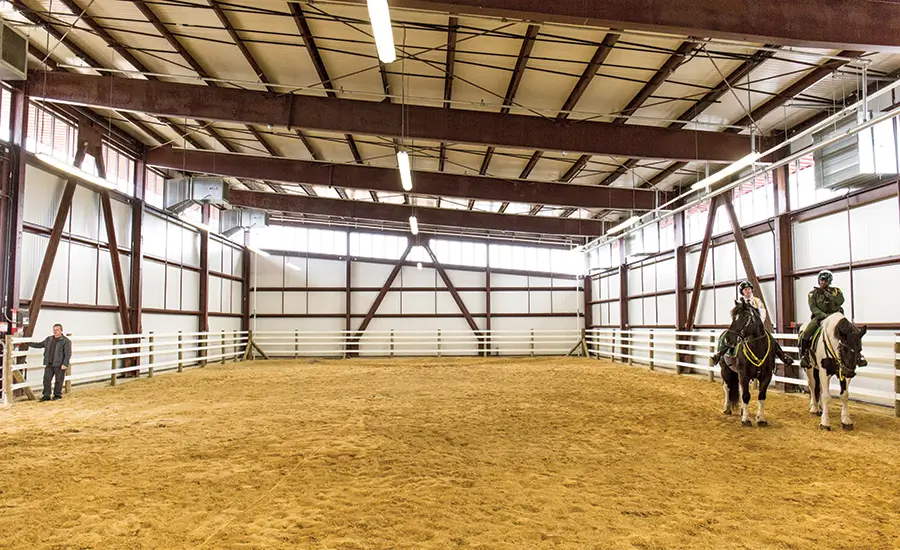 A Comprehensive Guide to Horse Arena Size and Building Essentials