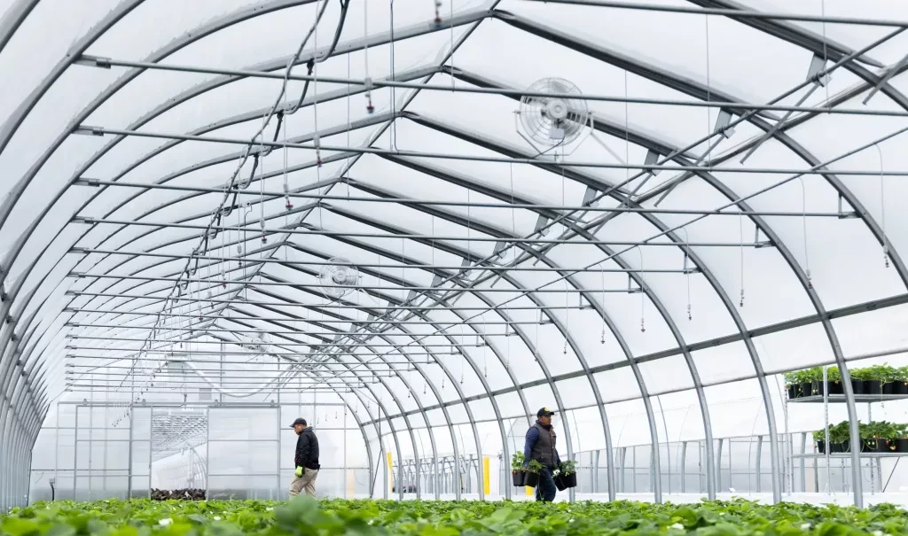 Greenhouse Building