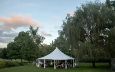 3-127-1-e1710829056736.webp 3-127-1-e1710829056736.webp